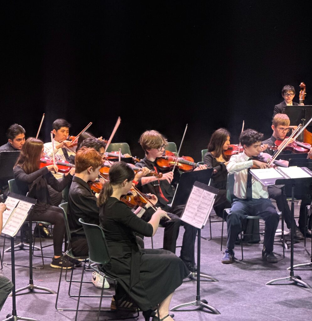 orchestra pic 2